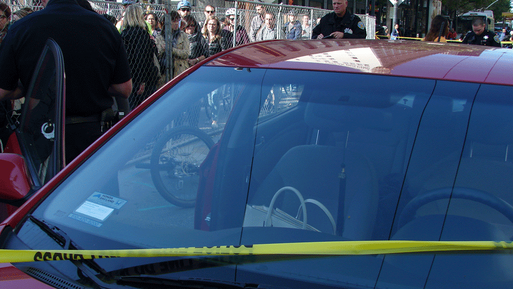 DSC00345.cropped.1000